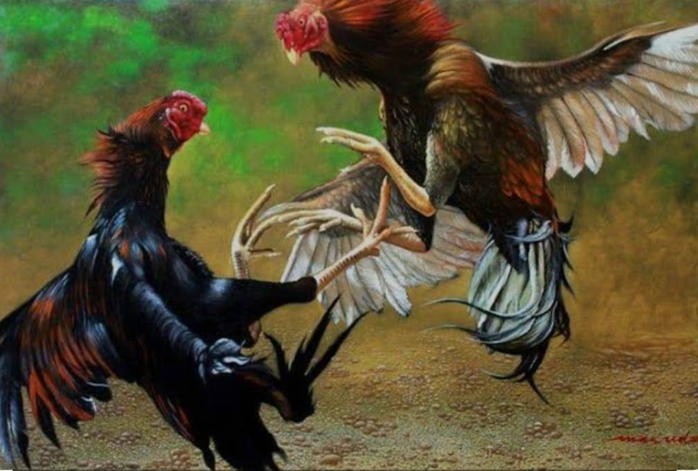 Di Duga Luput Dari Pantauan APH Setempat Pelanggaran 303 Berjalan lancar