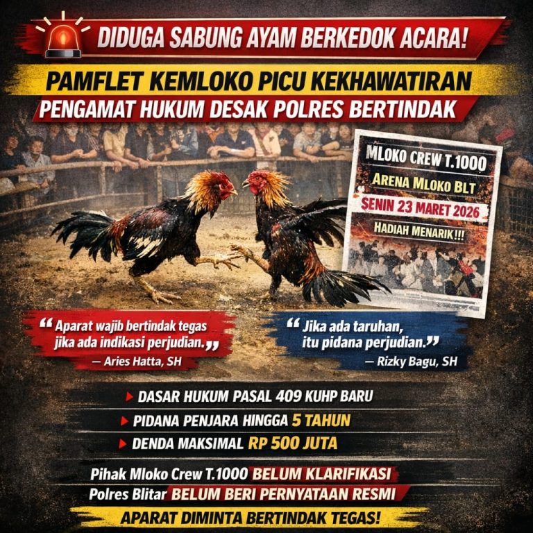 Heboh! Pamflet Acara di Kemloko Blitar Diduga Sabung Ayam, Pengamat Hukum Desak Polres Bertindak
