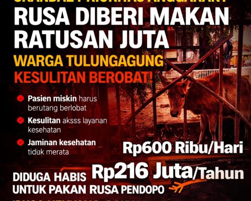 Skandal Anggaran Tulungagung Rp216 Juta untuk Pakan Rusa, Warga Miskin Kesulitan Berobat