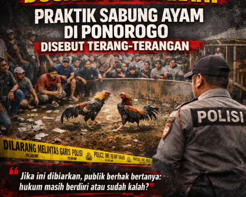 DUGAAN PEMBIARAN! PRAKTIK SABUNG AYAM DI PONOROGO DISEBUT TERANG-TERANGAN