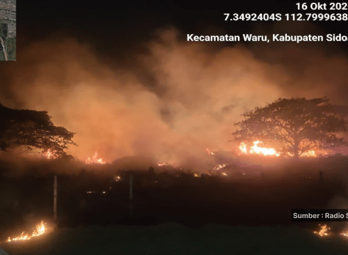 Kebakaran Lahan di Tambak Sumur Sidoarjo, Api Dilaporkan Mengarah ke Permukiman